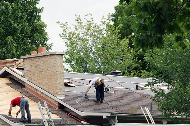 Best Roof Gutter Cleaning  in Sheridan, CO